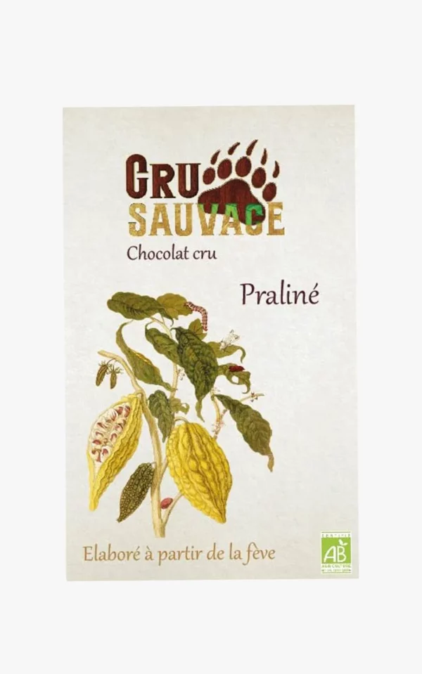 chocolat noir cru sauvage praliné